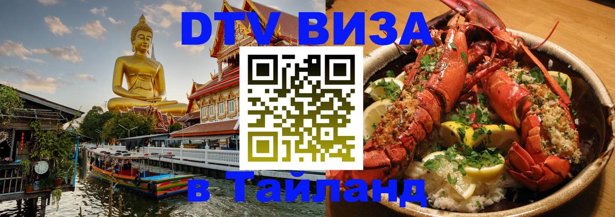 Оформление DTV визы под ключ: стоимость и тарифы, только загранпаспорт - Димитровград 